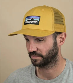 Patagonia Trucker P6 Logo Cabin Gold